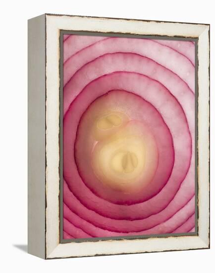 Red Onion-Greg Elms-Framed Premier Image Canvas