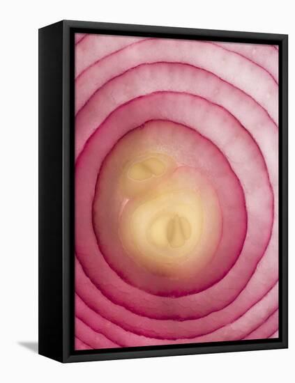 Red Onion-Greg Elms-Framed Premier Image Canvas