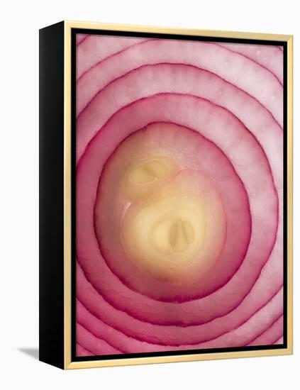 Red Onion-Greg Elms-Framed Premier Image Canvas