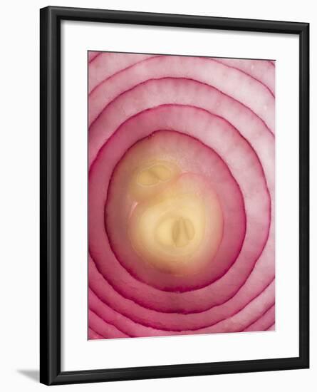 Red Onion-Greg Elms-Framed Photographic Print