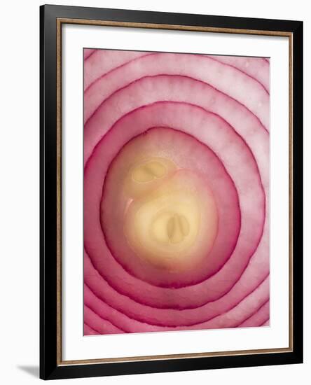 Red Onion-Greg Elms-Framed Photographic Print
