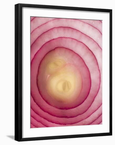 Red Onion-Greg Elms-Framed Photographic Print