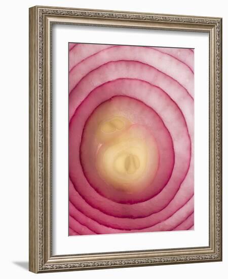 Red Onion-Greg Elms-Framed Photographic Print