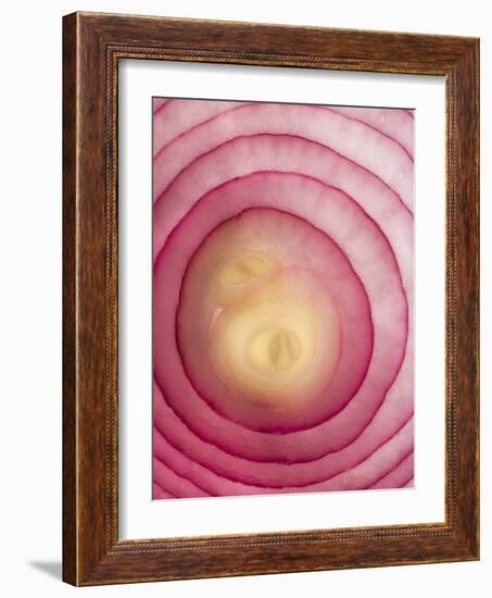 Red Onion-Greg Elms-Framed Photographic Print