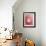 Red Onion-Greg Elms-Framed Photographic Print displayed on a wall