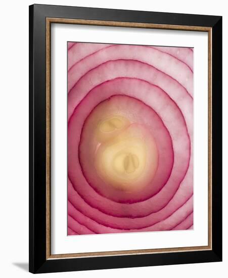 Red Onion-Greg Elms-Framed Photographic Print