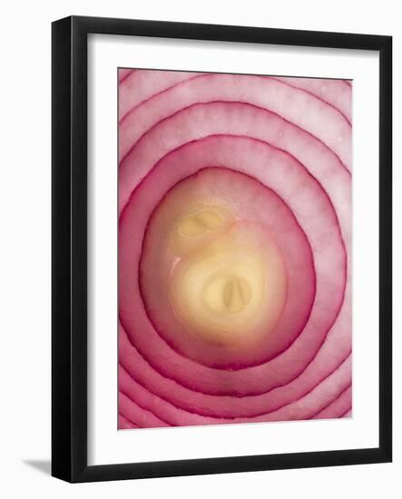 Red Onion-Greg Elms-Framed Photographic Print