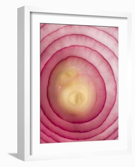 Red Onion-Greg Elms-Framed Photographic Print