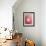 Red Onion-Greg Elms-Framed Photographic Print displayed on a wall