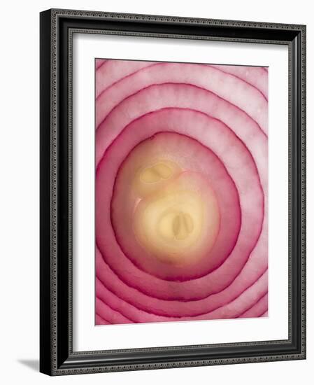 Red Onion-Greg Elms-Framed Photographic Print