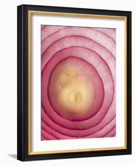 Red Onion-Greg Elms-Framed Photographic Print