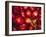 Red Onions-Ken Hammond-Framed Photo