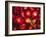 Red Onions-Ken Hammond-Framed Photo