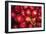 Red Onions-Ken Hammond-Framed Art Print