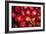 Red Onions-Ken Hammond-Framed Art Print