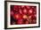 Red Onions-Ken Hammond-Framed Art Print