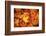 Red, Orange and yellow maples leaves in Autumn-Alan Majchrowicz-Framed Photographic Print