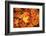 Red, Orange and yellow maples leaves in Autumn-Alan Majchrowicz-Framed Photographic Print