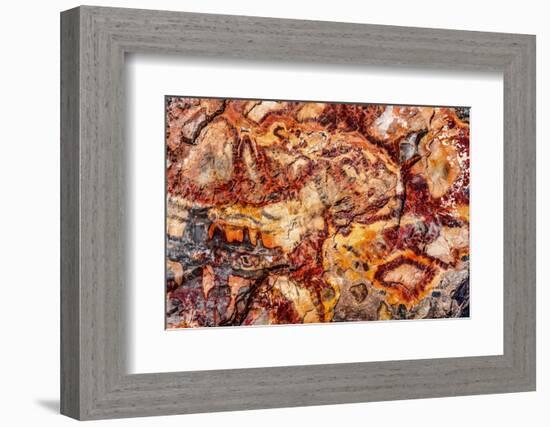 Red, orange and yellow petrified wood abstract, Blue Mesa, Petrified Forest National Park, Arizona-William Perry-Framed Photographic Print