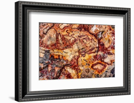 Red, orange and yellow petrified wood abstract, Blue Mesa, Petrified Forest National Park, Arizona-William Perry-Framed Photographic Print