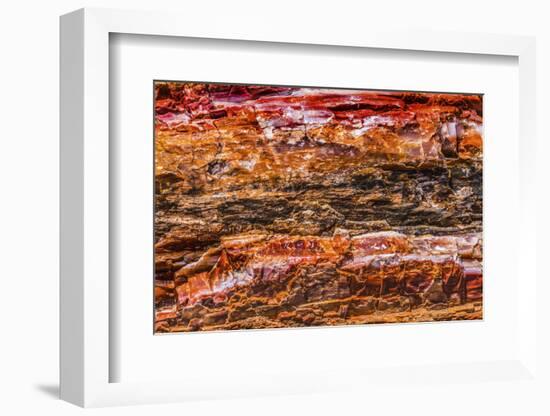 Red, orange and yellow petrified wood abstract, Blue Mesa, Petrified Forest National Park, Arizona-William Perry-Framed Photographic Print