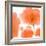 Red Orange Poppies-Sheila Golden-Framed Art Print