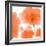 Red Orange Poppies-Sheila Golden-Framed Art Print