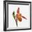 Red orchid-Micha Pawlitzki-Framed Photographic Print