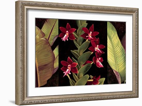 Red Orchids & Palm Leaves-Rodolfo Jimenez-Framed Art Print