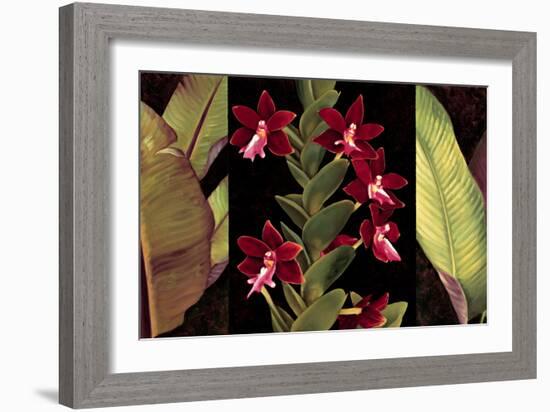 Red Orchids & Palm Leaves-Rodolfo Jimenez-Framed Art Print