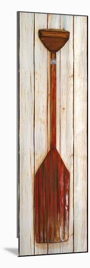 Red Paddle-Gina Ritter-Mounted Art Print