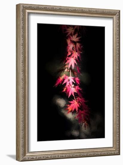 Red Paint Stroke-Philippe Sainte-Laudy-Framed Photographic Print