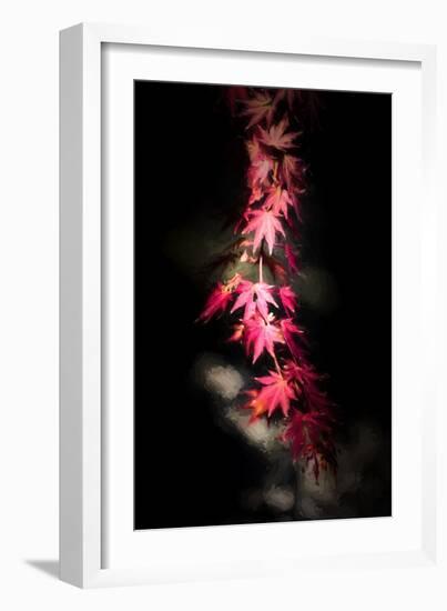 Red Paint Stroke-Philippe Sainte-Laudy-Framed Photographic Print