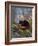 Red Panda (Ailurus Fulgens), Himalayas-Andres Morya Hinojosa-Framed Photographic Print