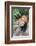 Red Panda (Ailurus Fulgens), Sichuan Province, China, Asia-G & M Therin-Weise-Framed Photographic Print