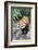 Red Panda (Ailurus Fulgens), Sichuan Province, China, Asia-G & M Therin-Weise-Framed Photographic Print