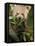 Red Panda Feeding on Bamboo Leaves, Iucn Red List of Endangered Species-Eric Baccega-Framed Premier Image Canvas