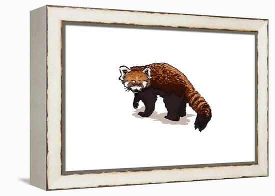 Red Panda - Icon-Lantern Press-Framed Stretched Canvas