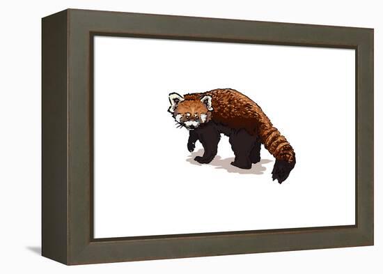 Red Panda - Icon-Lantern Press-Framed Stretched Canvas