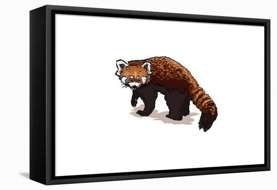 Red Panda - Icon-Lantern Press-Framed Stretched Canvas