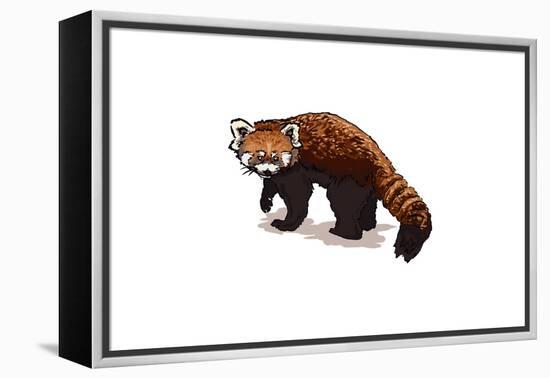 Red Panda - Icon-Lantern Press-Framed Stretched Canvas