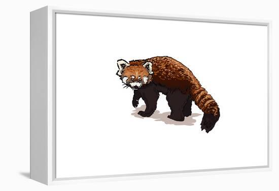 Red Panda - Icon-Lantern Press-Framed Stretched Canvas