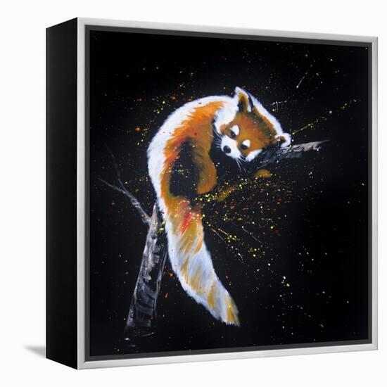 Red Panda In A Tree-null-Framed Stretched Canvas