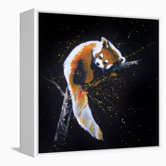 Red Panda In A Tree-null-Framed Stretched Canvas