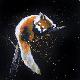 Premium Giclee Print