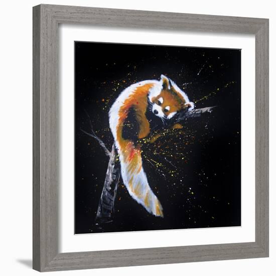 Red Panda In A Tree-null-Framed Art Print