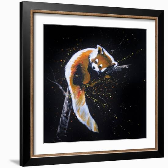 Red Panda In A Tree-null-Framed Art Print