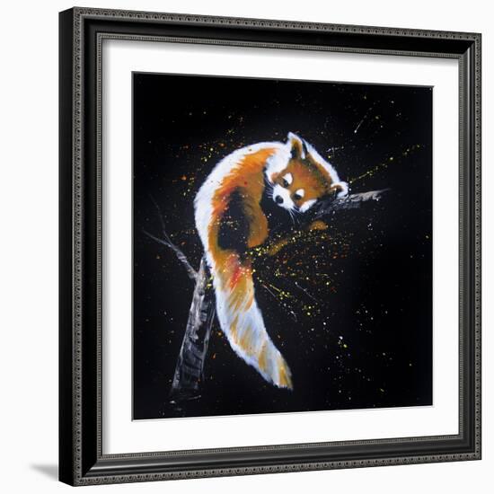 Red Panda In A Tree-null-Framed Art Print