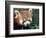 Red Panda, Taronga Zoo, Sydney, Australia-David Wall-Framed Photographic Print