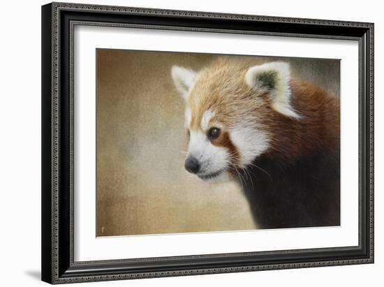 Red Panda Watching-Jai Johnson-Framed Giclee Print